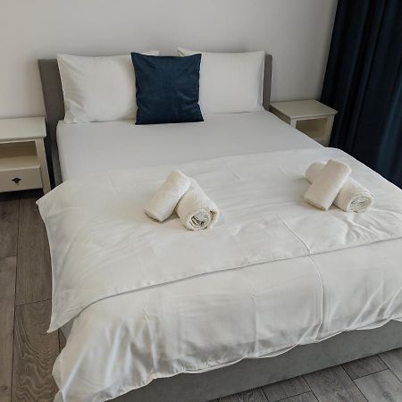 Alina'S Deluxe Apartment And Free Private Parking Dumbravita (Timis) Exterior foto