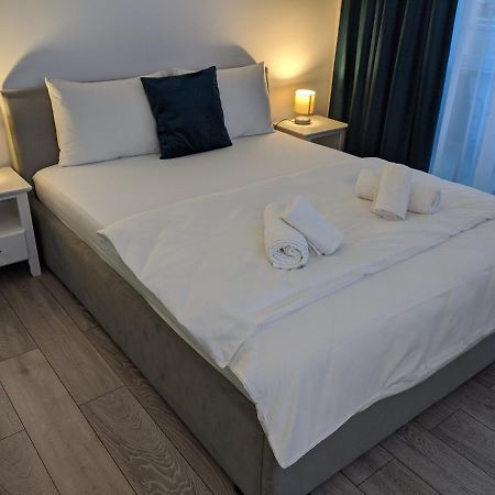 Alina'S Deluxe Apartment And Free Private Parking Dumbravita (Timis) Exterior foto