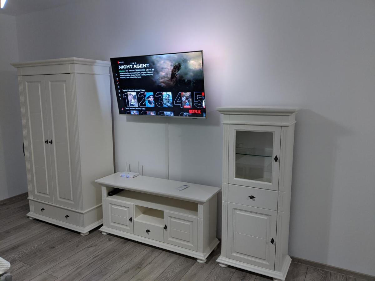 Alina'S Deluxe Apartment And Free Private Parking Dumbravita (Timis) Exterior foto