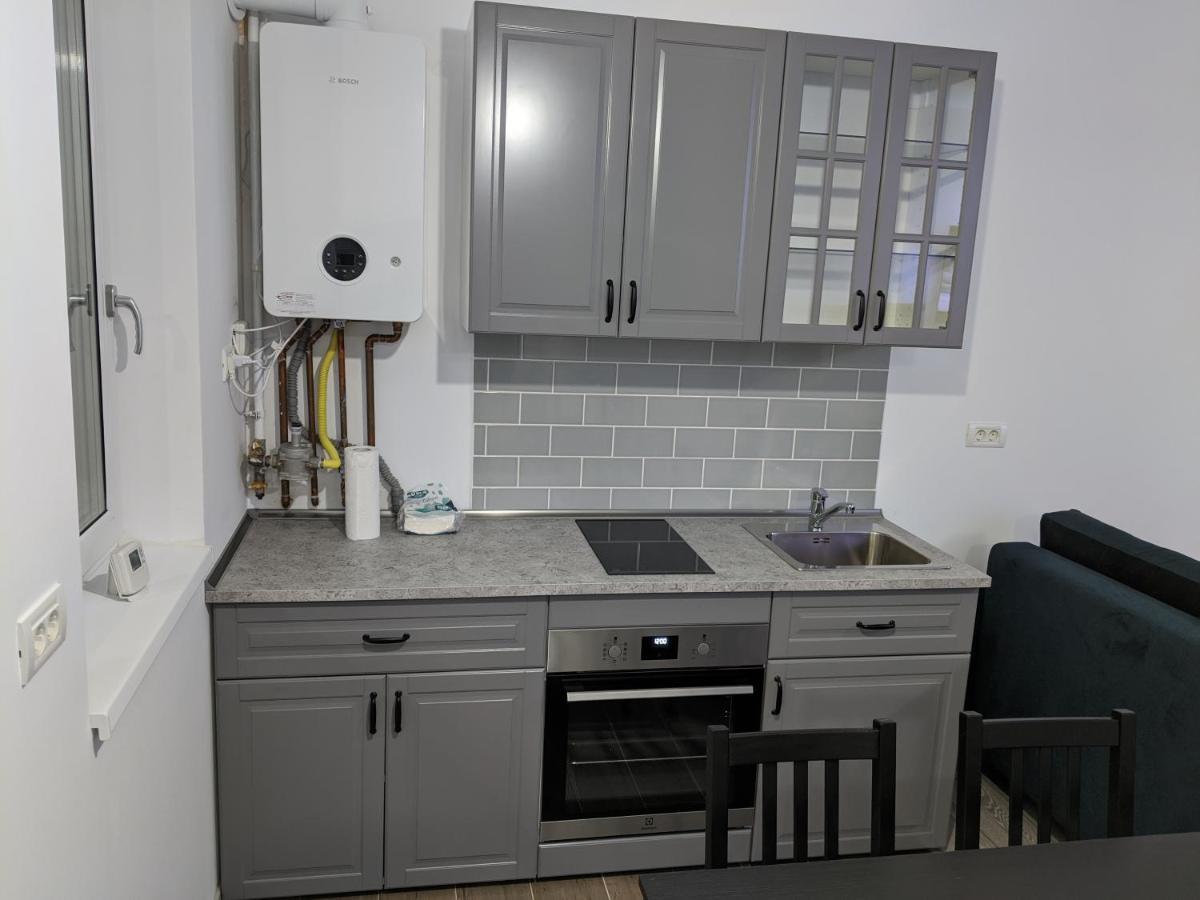 Alina'S Deluxe Apartment And Free Private Parking Dumbravita (Timis) Exterior foto