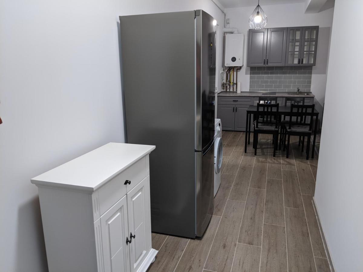 Alina'S Deluxe Apartment And Free Private Parking Dumbravita (Timis) Exterior foto