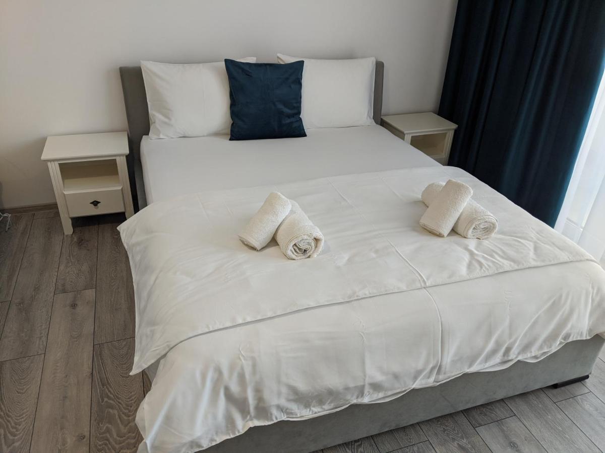 Alina'S Deluxe Apartment And Free Private Parking Dumbravita (Timis) Exterior foto