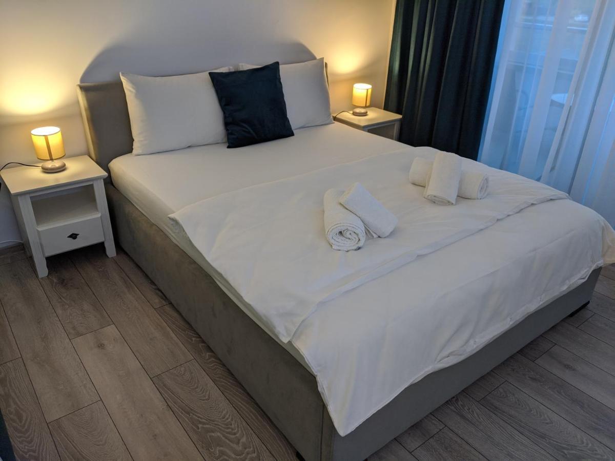 Alina'S Deluxe Apartment And Free Private Parking Dumbravita (Timis) Exterior foto